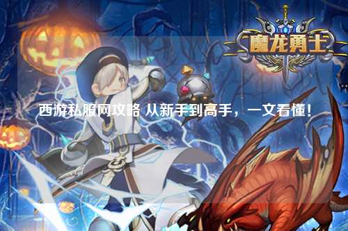 西游私服网攻略 从新手到高手，一文看懂！
